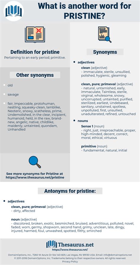 pristine antonyms|pristine definition antonym.